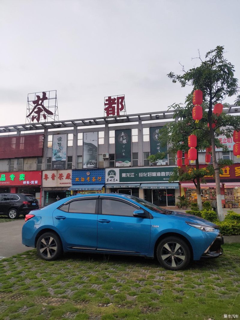 大茶都选购指南
