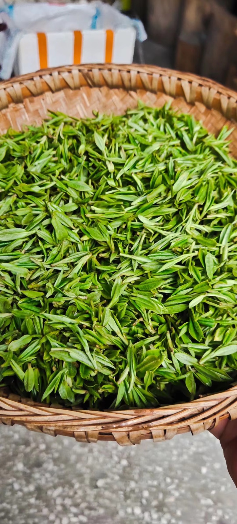 探索茶叶批发市场的脉搏与机遇
